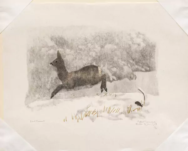 Robert HAINARD (1906-1999), "Chevrette, neige fraîche et brouillard, observée à Ferrèze", xylographie — DognyAuction