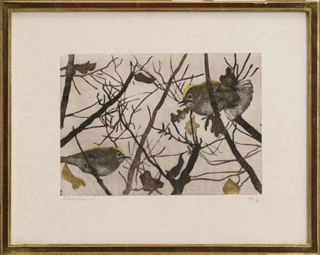 Oiseaux