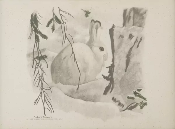 Robert Hainard (1906-1999) — Genève Enchères