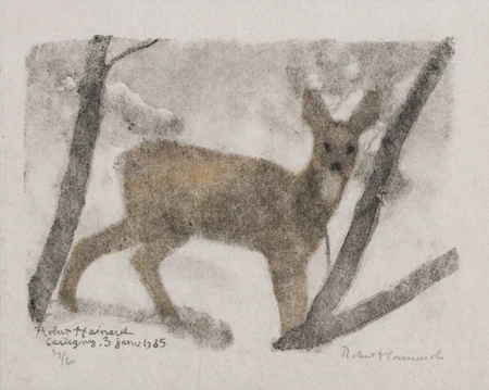 Jeune biche