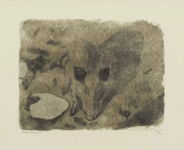 Robert Hainard (1906-1999) — Genève Enchères
