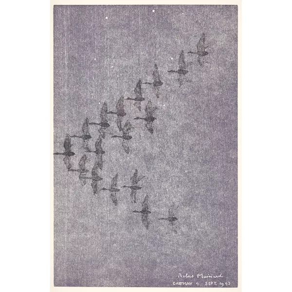 Robert Hainard — Konvolut.