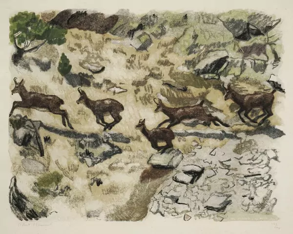 Robert Hainard (1906-1999) — Genève Enchères