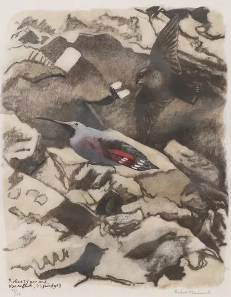 Robert HAINARD (1906-1999), "Grimpereau et hirondelle des rochers", xylogravure — DognyAuction