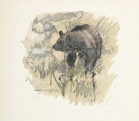 Ours dans les herbes sèches