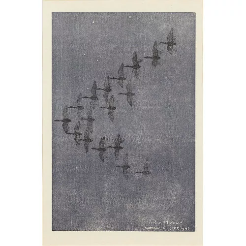 Robert Hainard — Des oiseaux.