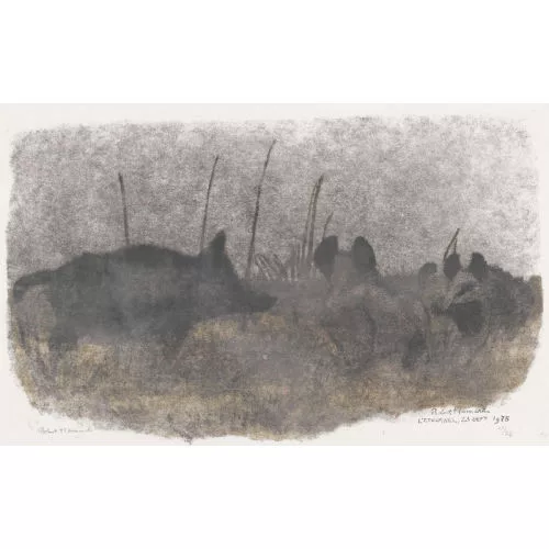 Robert Hainard — "Sangliers, clair de lune et brouillard".
