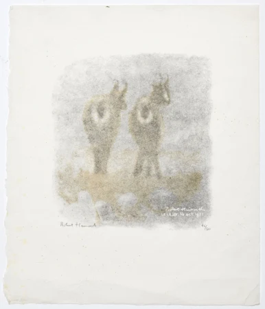 Deux chamois dans le brouillard