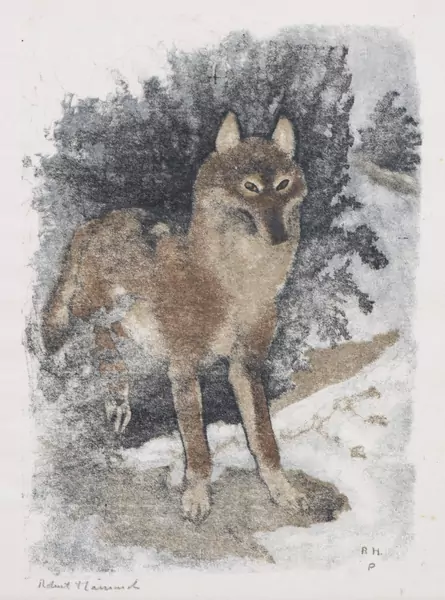 Robert HAINARD (1906-1999), "Loup en hiver", gravure sur bois — DognyAuction