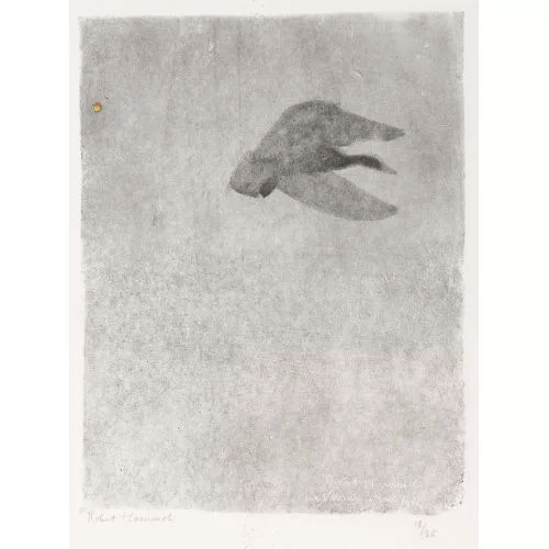 Robert Hainard — "Canard freinant et Mars".