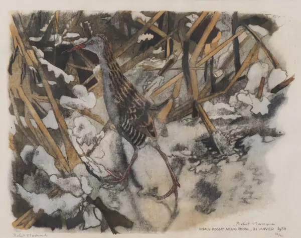 Robert HAINARD (1906-1999), "Râle sur la glace", xylogravure — DognyAuction