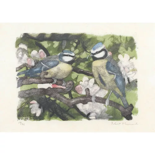 Robert Hainard — Mésanges bleues, offrande nuptiale.
