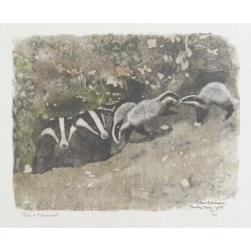 Robert Hainard — "Famille de blaireaux au terrier".