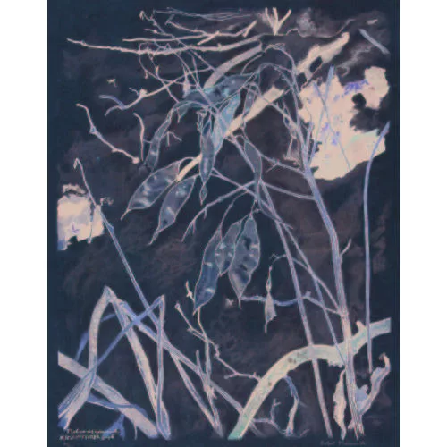 Robert Hainard — Lunaire vivace.
