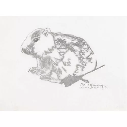 Robert Hainard — "Petite marmotte".