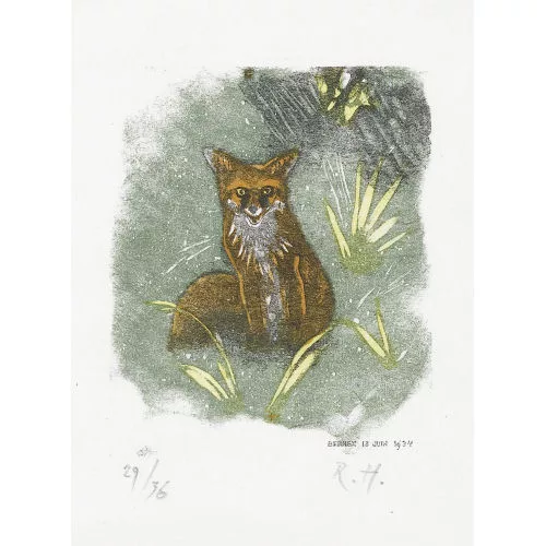 Robert Hainard — Mère renard criant.