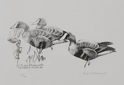 Robert Hainard — Dezember 2015 (A139) - Auktionsstart: 11.12.2015, 15:30 — Schuler Auktionen