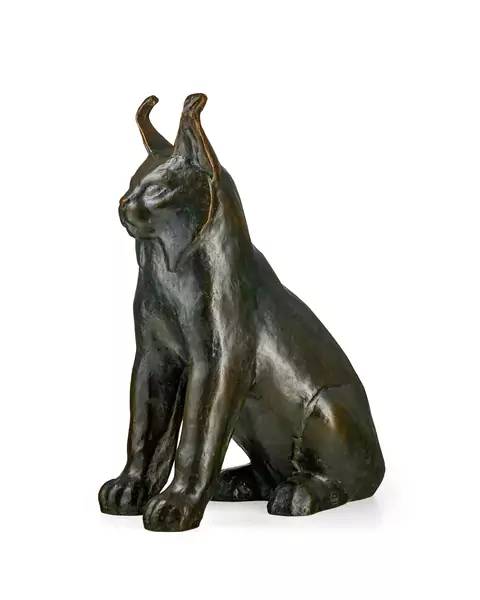 Lynx