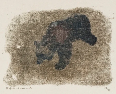 Ours dans l'obscurité