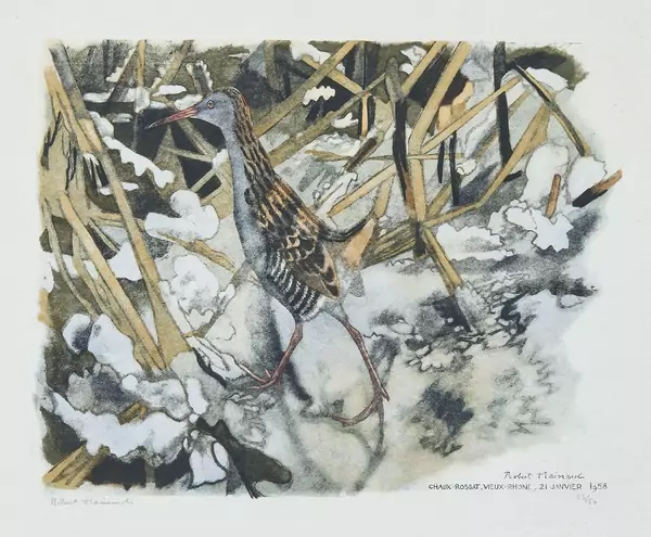 Robert Hainard (1906-1999) — Genève Enchères