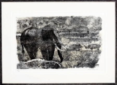 Eléphant