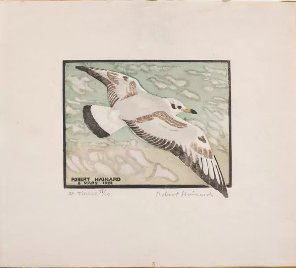 Robert HAINARD (1906-1999), "Mouette Jeune", gravure sur bois — DognyAuction