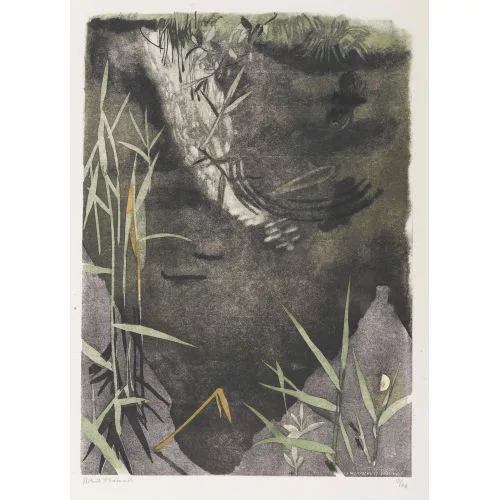 Robert Hainard — "Reflet de la Pissevache".