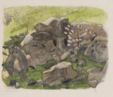 Tribu de marmottes au bois-gentil