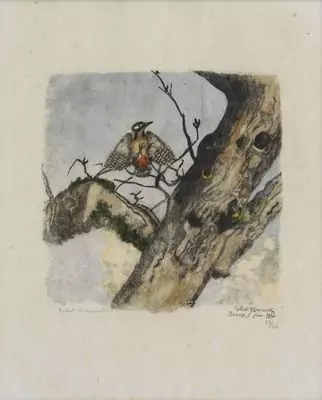 Robert Hainard (1906-1999)