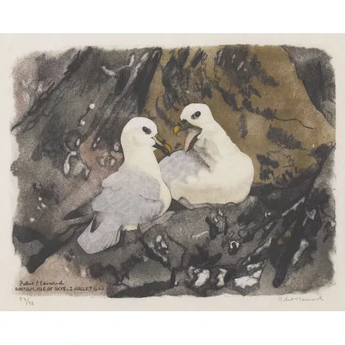 Robert Hainard — "Couple de fulmars".