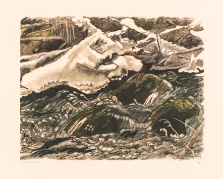 Merle d'eau et glaçons