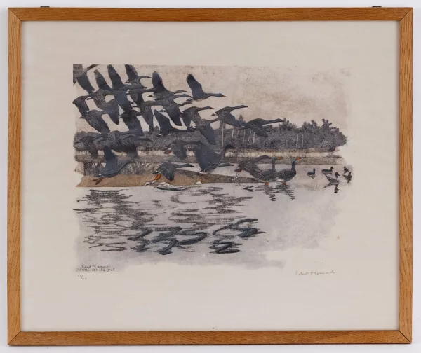 Robert Hainard — Robert Hainard (1906-1999), Envol d'oies des