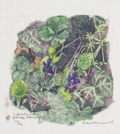 Violettes