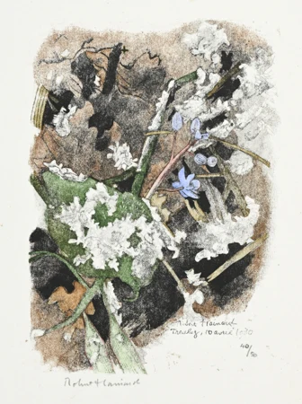Scies de neige gelée
