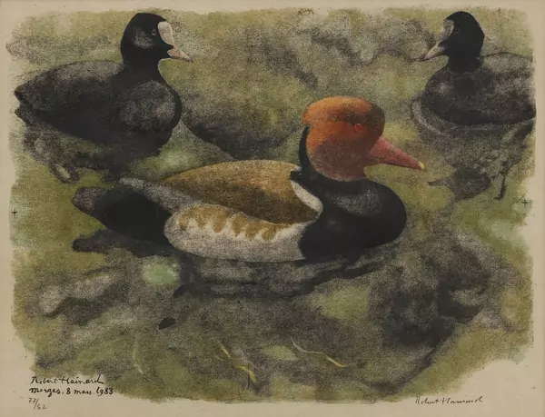 Robert Hainard (1906-1999) — Genève Enchères