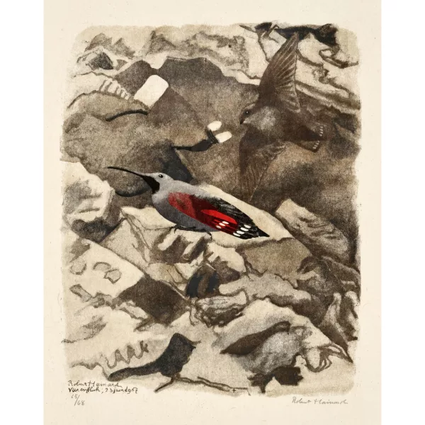 Robert Hainard — "Grimpereau et hirondelle de rochers".