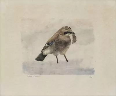 Robert Hainard (1906-1999)