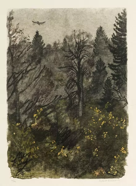 Robert Hainard (1906-1999) — Genève Enchères