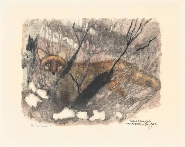 Apparition de renard