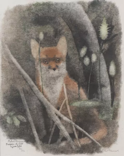 Robert HAINARD (1906-1999), "Le renardeau émancipé", xylogravure — DognyAuction