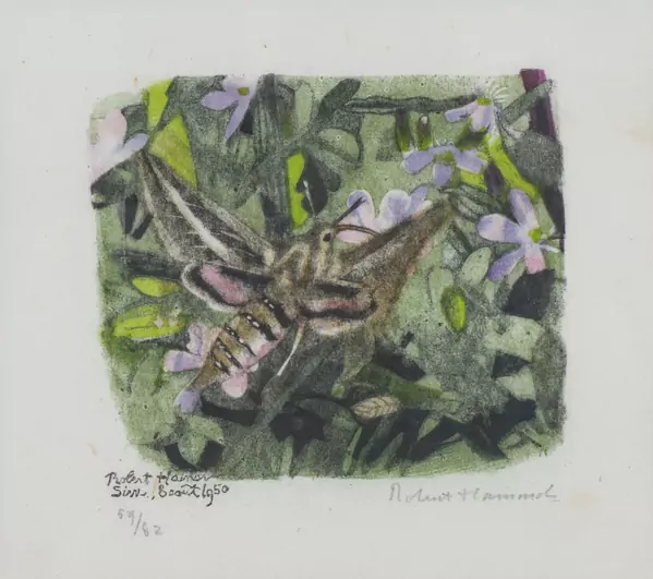 Robert HAINARD (1906-1999),"Le Sphinx livournien", Gravure couleur — DognyAuction
