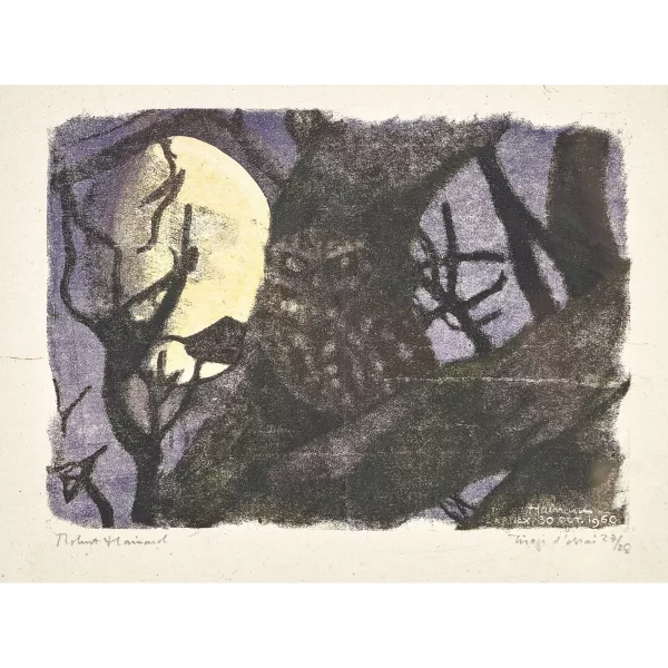 Robert Hainard — "Chouette de nuit".