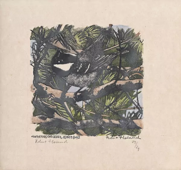 Mésange noire