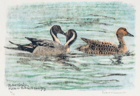 3 canards