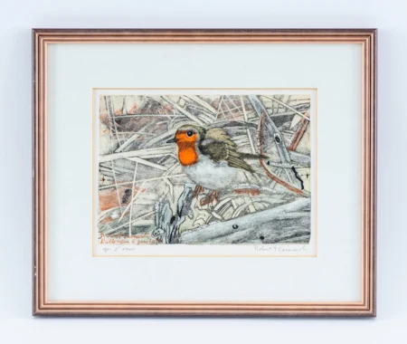 Rouge-gorge