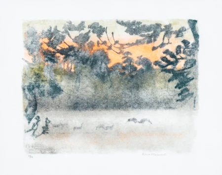 Aurore et combats de cerfs