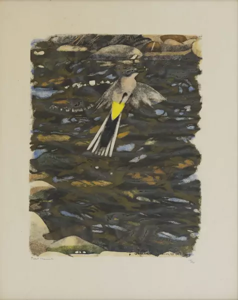 Robert Hainard (1906-1999) — Genève Enchères