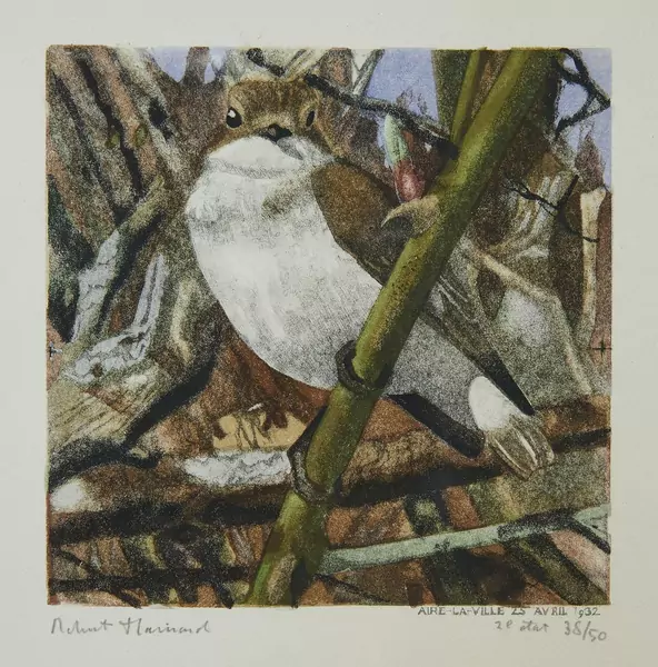 Robert Hainard (1906-1999) — Genève Enchères