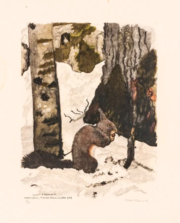 Écureuil à sa cache à provisions