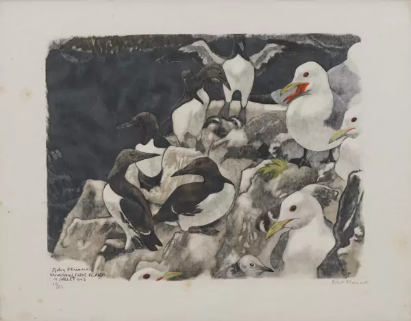 Robert HAINARD (1906-1999), "Guillemots et mouettes tridactyles", Gravure sur bois — DognyAuction